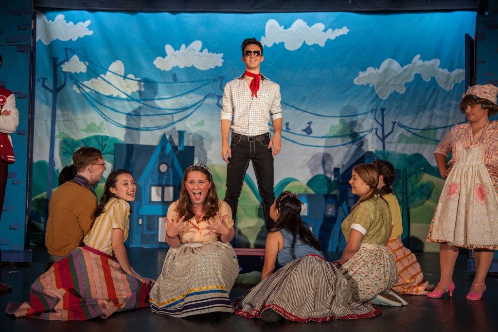 Bye Bye Birdie - Barrington Stage Company